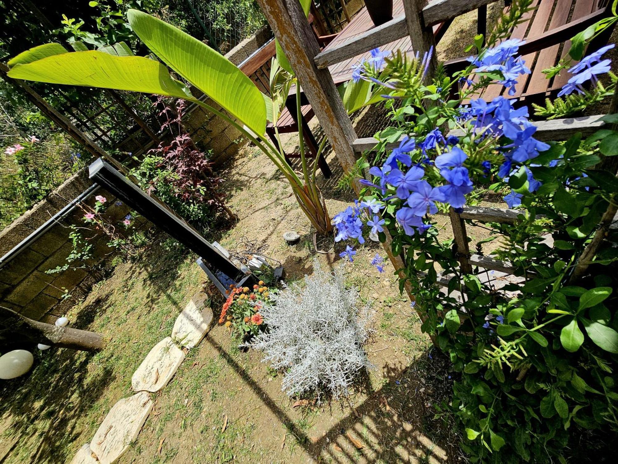 Prestige Casa Vacanze Catanzaro Exteriér fotografie